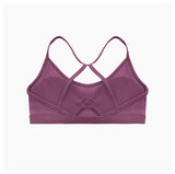 Workout Sports Bra