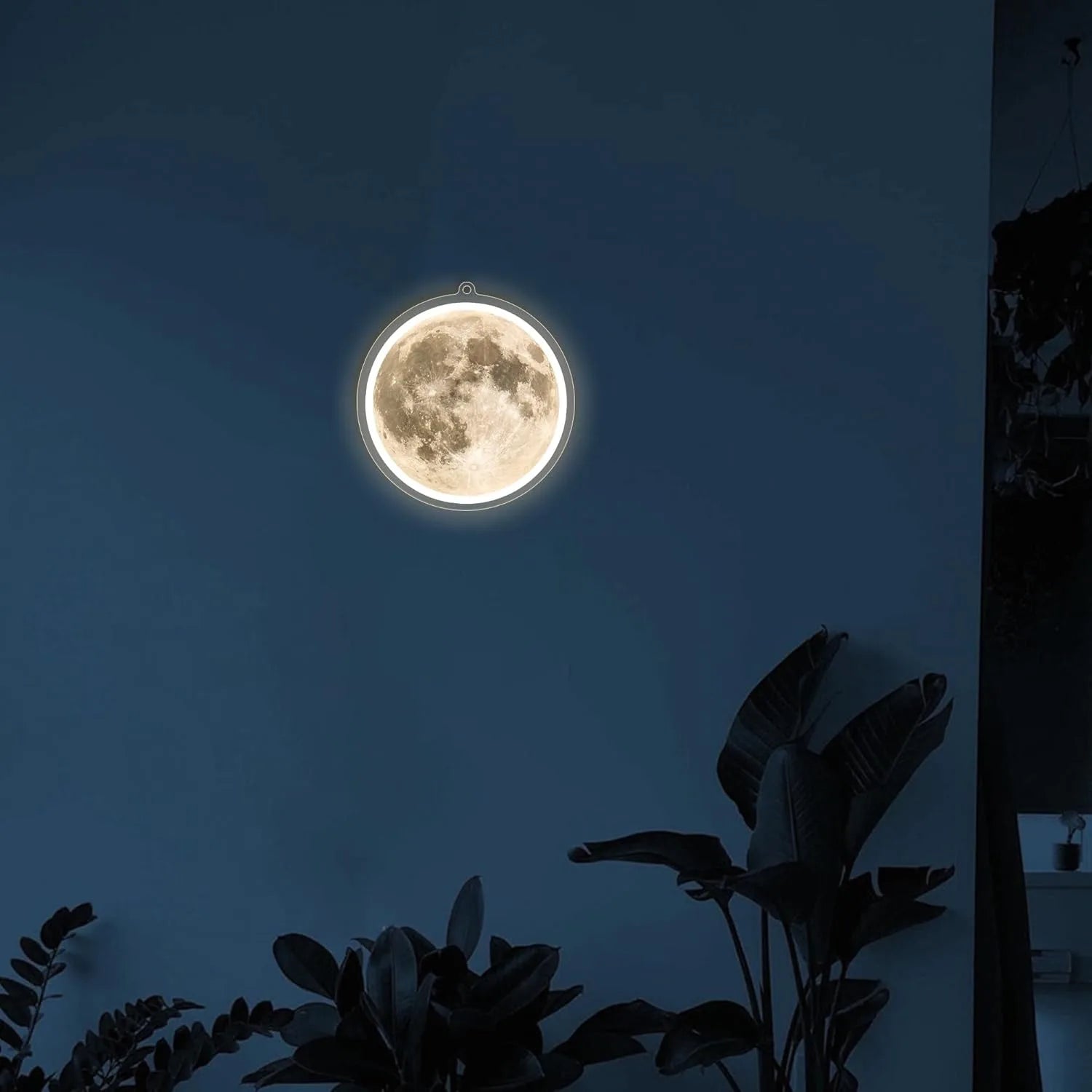 S473be45aad4c48709878cef0ed5e6d5eh